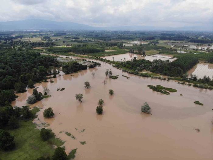 Efteni Gölü Yağışlar Sonrası Taştı