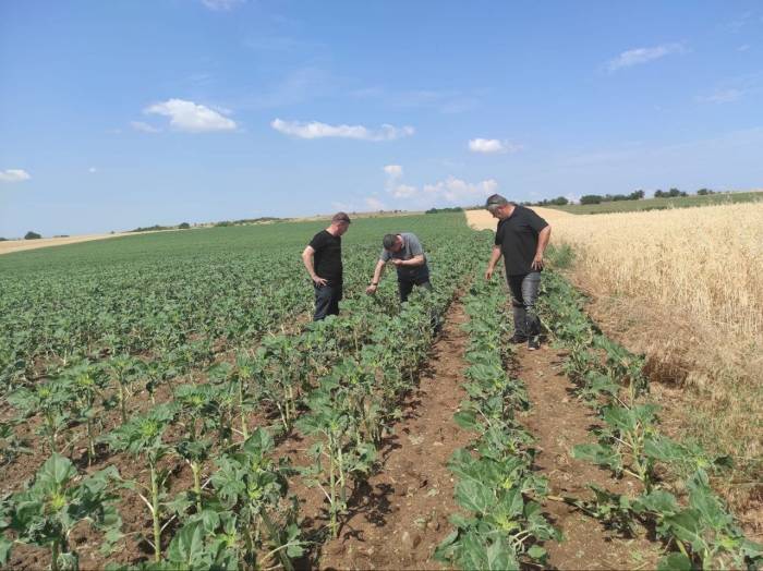 Dolu Yağışından 11 Köyde 16 Bin Dekar Tarım Arazisi Etkilendi
