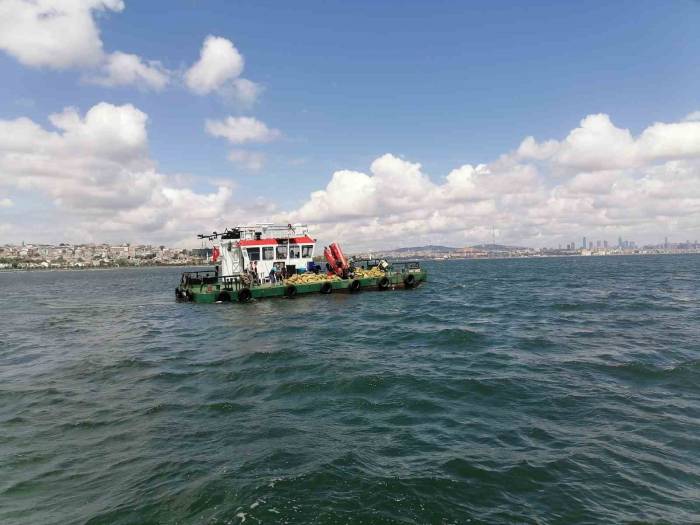 70 Ton Kaçak Midye Ele Geçirildi, 1 Milyon Lira Para Cezası Kesildi