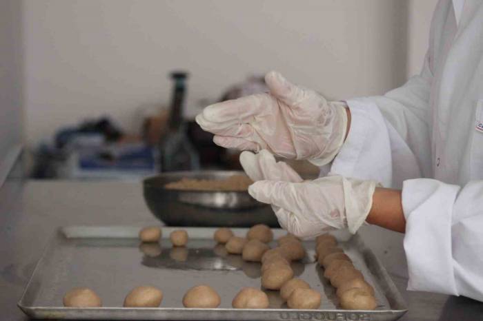 Devlet Desteğiyle Üretim Hane Kurdu, Glütensiz Ürün Üretiyor