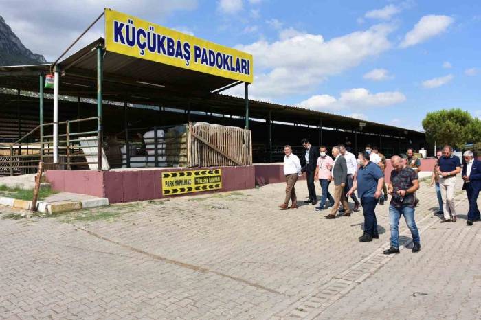 Manisa’da Kurban Satış Ve Kesim Yerleri Belirlendi