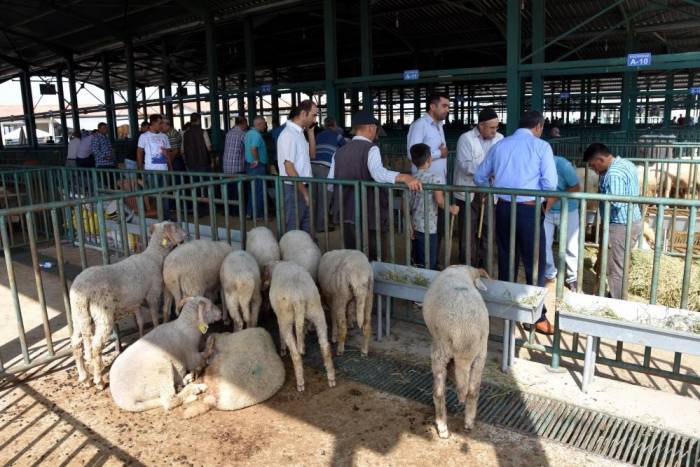 Salihli’de Kurban Kesim Ve Satış Yerleri Belli Oldu