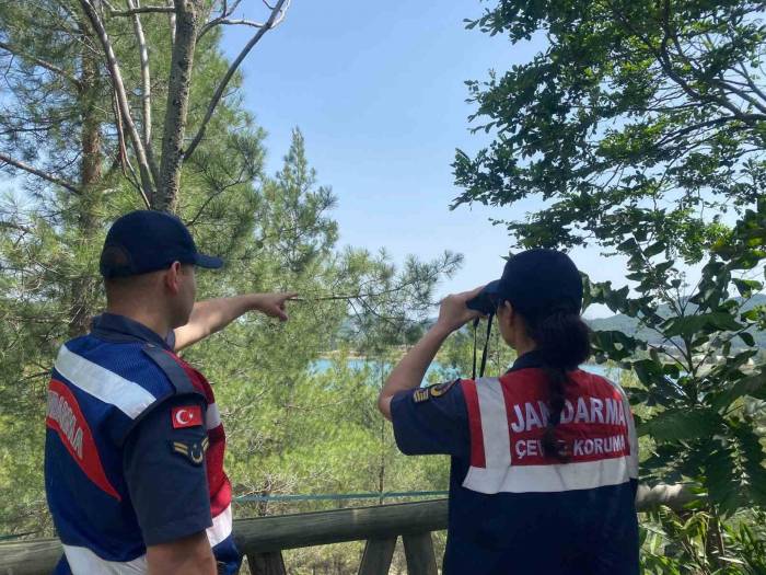 Muğla’da Jandarma Ekipleri Orman Yangınlarına Karşı Teyakkuza Geçti