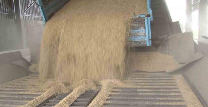 Tmo Tarafından Arpa Alımı Başladı