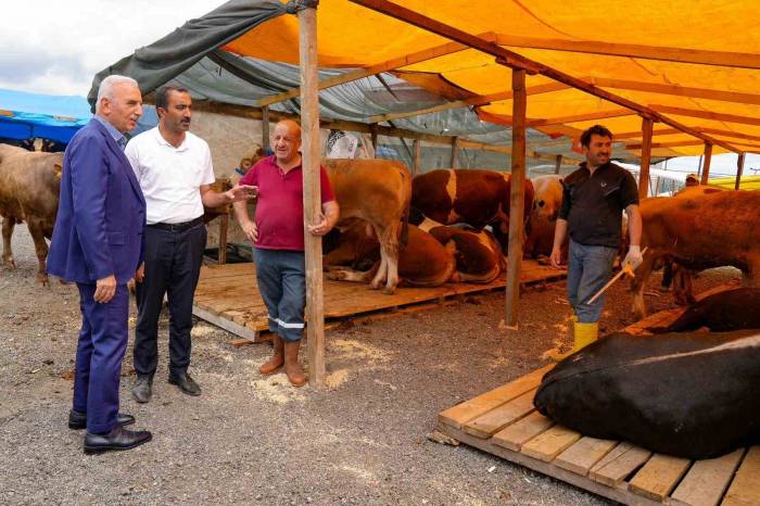 Ümraniye Kurban Bayramı’na Hazır