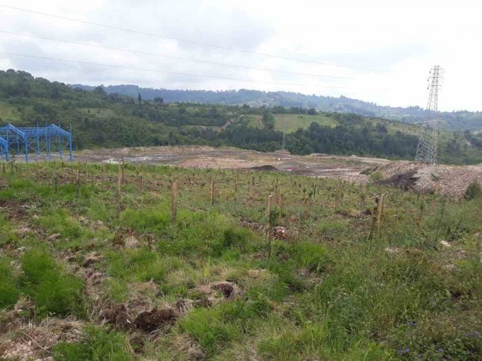 Karma Meyve Bahçesi Projesi İle Çiftçilere Uygulamalı Eğitim