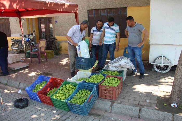 Pazarda Sinekli Meyvenin Kilosu 40 Tl’den Alıcı Buluyor