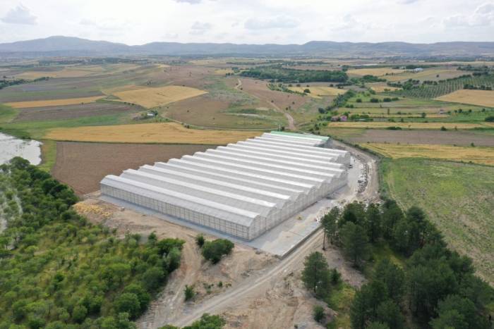 Elazığ Belediyesi Jeotermal Sera Sahasında Topraksız Tarıma Başladı