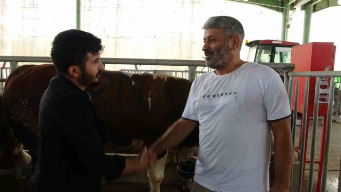 Kurbanlık Alımını Son Güne Bırakmayın