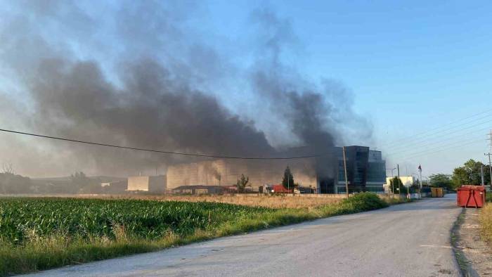 Kocaeli’de Geri Dönüşüm Fabrikasında Yangın: 3 Kişi Dumandan Etkilendi