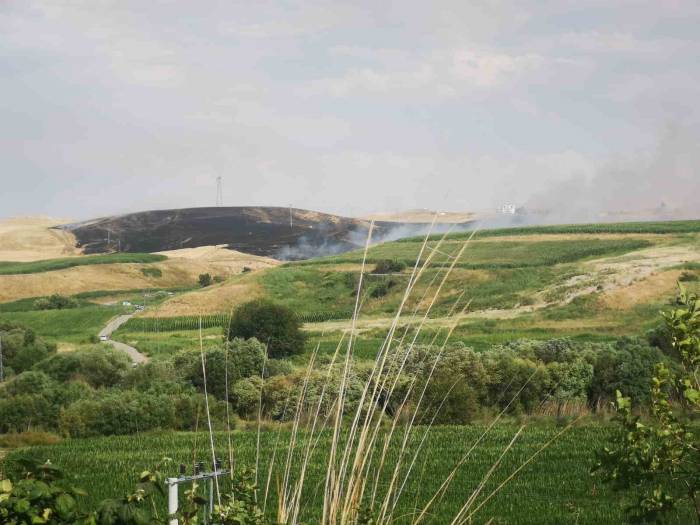 Batman’da Tarla Yangınında 400 Dönüm Buğday Küle Döndü