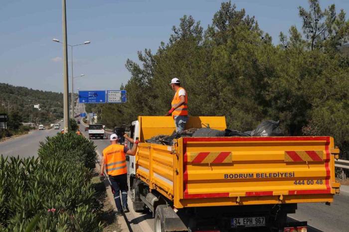 Bodrum Belediyesi Bayram Hazırlığında