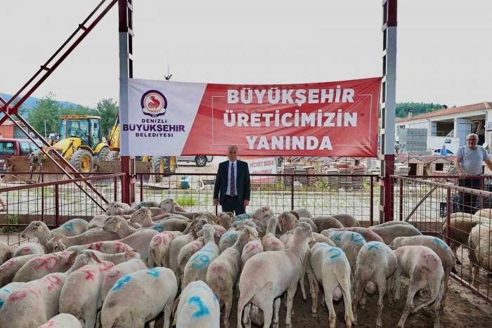 Denizli’de Küçükbaş Hayvancılığa 7,5 Milyon Liralık Destek