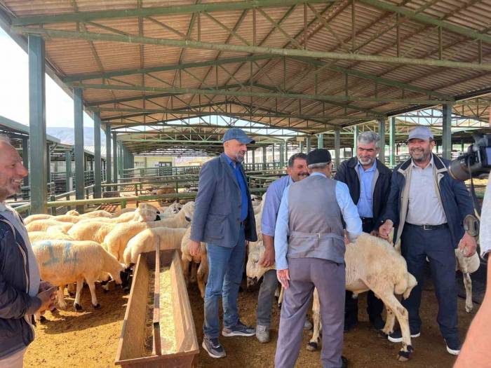 Malatya’da Vatandaşlar Kurbanlık Almak İçin Arefe Günü’nü Bekliyor