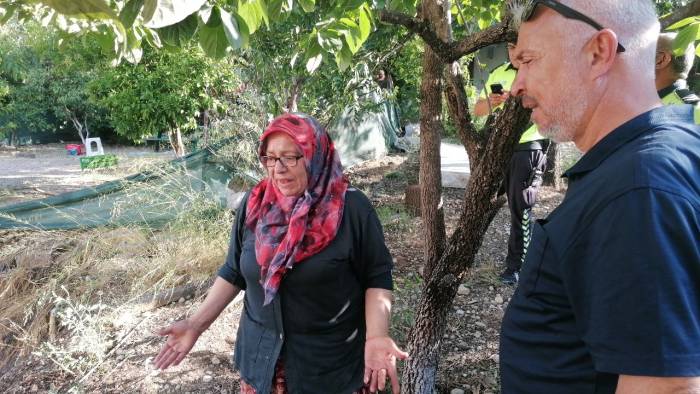 Yılandan Korkup Ormanı Yakıyordu