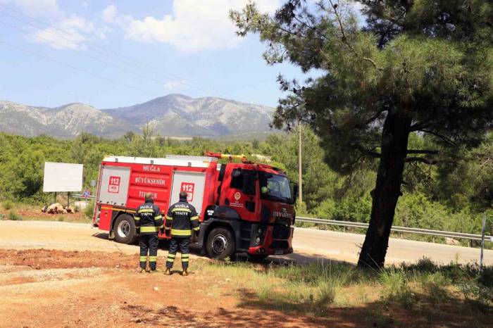 Büyükşehir Tüm Birimleri İle Kurban Bayramı’na Hazır