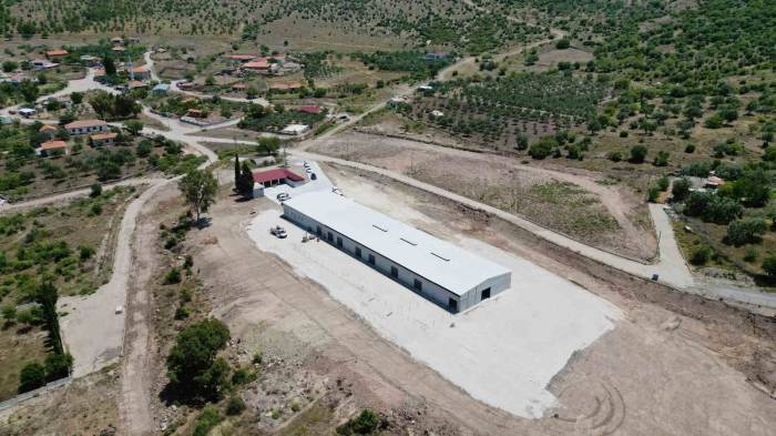 Üreticilere Destek Sağlayacak ‘damızlık Koyun Üretim Merkezi’ Faaliyete Geçti
