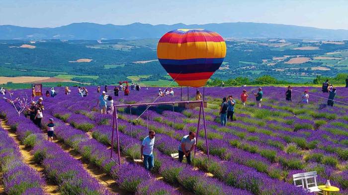 Tekirdağ’da Mor Şenlik