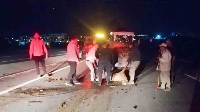 Otomobilin Çarptığı Koyun Sürüsünde 18 Koyun Telef Oldu