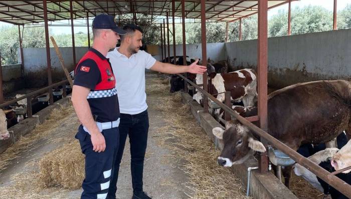 Jandarma Ekipleri Kurban Bayramı Öncesi Uyardı
