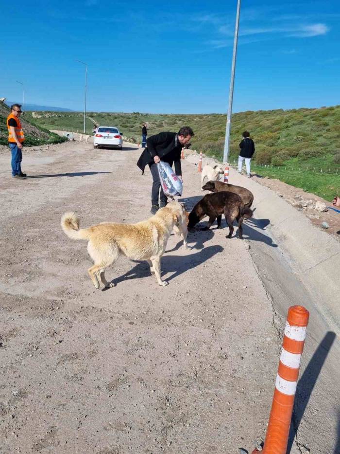 Sokak Hayvanları İçin Sosyal Sorumluluk Projesi