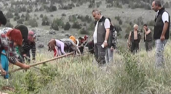 Orman Alanlarında Düzenli Bakım Yaparak Toprağı Arındırıyorlar