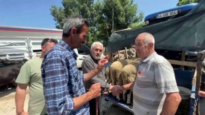 Bayrama Sayılı Günler Kala Kurban Pazarlarında Hareketlilik