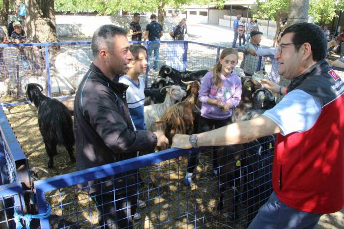 Muğla’da 102 Kurban Kesim Noktası Oluşturuldu