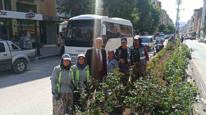 Kadın Eli Değince Orta Refüjler Çiçek Açtı