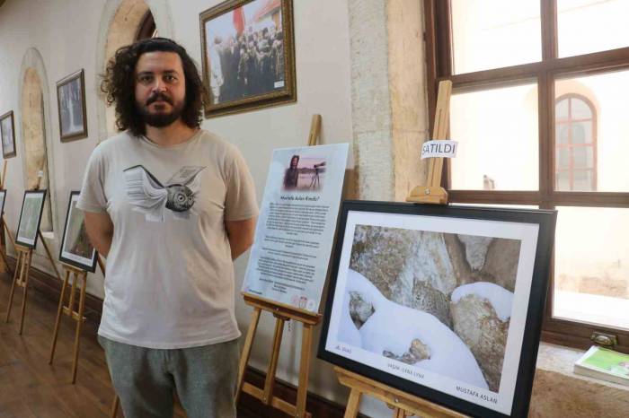 Yaban Hayatı Fotoğrafçısı, Sattığı Fotoğrafların Gelirini Lösemili Çocuklara Bağışladı