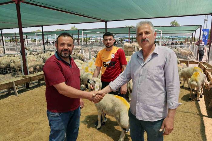 “talas Kurban Pazarı’nda Büyük Bir Hizmet Yapılmış”