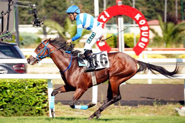 97. Gazi Koşusu’nun Kazananı Urfa Aslanı Oldu