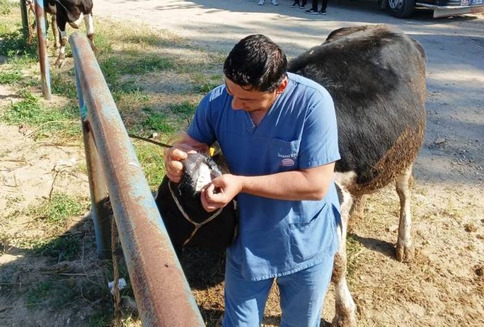 Hisarcık’ta Zabıta Ekiplerinden Kurban Satış Yerlerinde Denetim