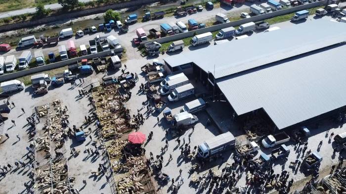 Şuhut Kurban Pazarında Hareketlilik Başladı