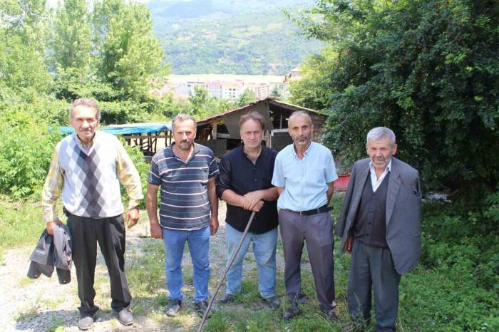 Kurtlar, 350’den Fazla Koyunu Telef Etti