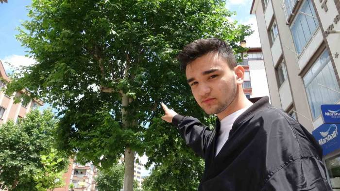 "karga Kamikaze" Dalışlarıyla Mahalleliye Korku Salıyor