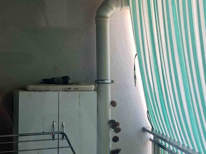 Elazığ Belediyesi Minik Ahsen’in Hayvan Sevgisini Karşılıksız Bırakmadı