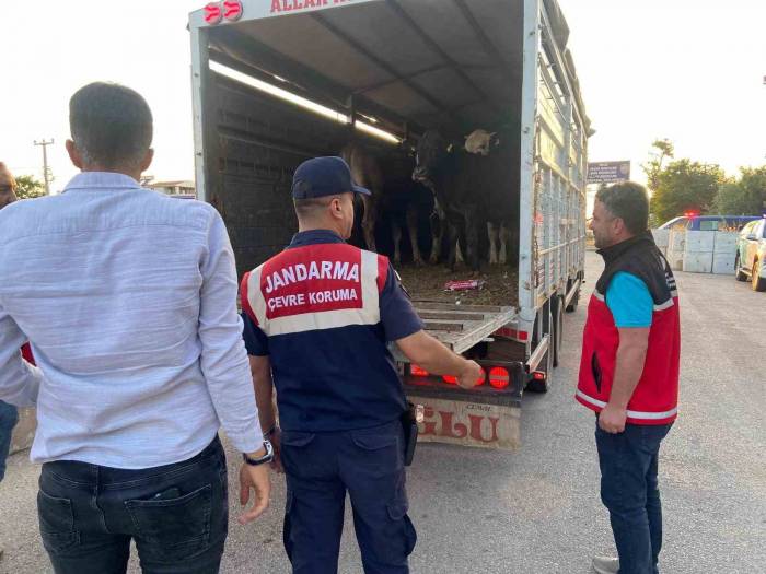 Aksaray’da Sivil Jandarmalar Kurban Teyakkuzunda