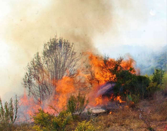 Ekodosd, Vatandaşları Yangınlara Karşı Uyardı