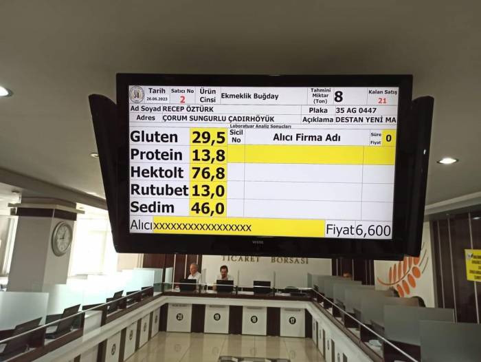 Sungurlu’da İlk Buğday Borsaya Geldi