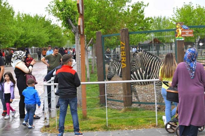 Büyükşehir Hayvanat Bahçesi Kurban Bayramı’nda Ücretsiz