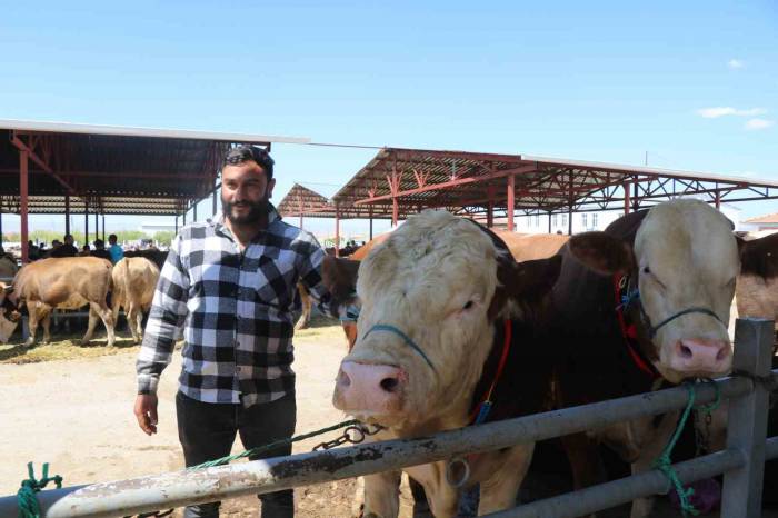 Kırşehir’de Otomobil Fiyatına Kurbanlık