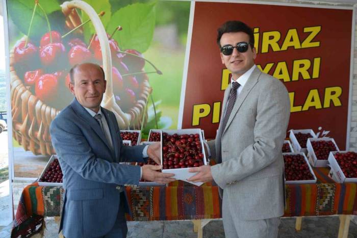 Selendi’de Kiraz Festivali Coşkusu