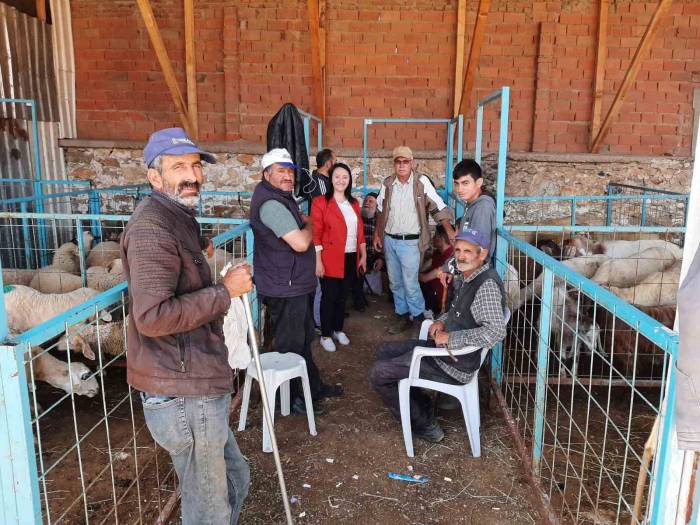 Pazaryeri’nde Kurban Satış Noktası Denetlendi