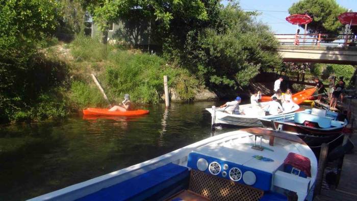 Muhtarın Çevre Hassasiyeti