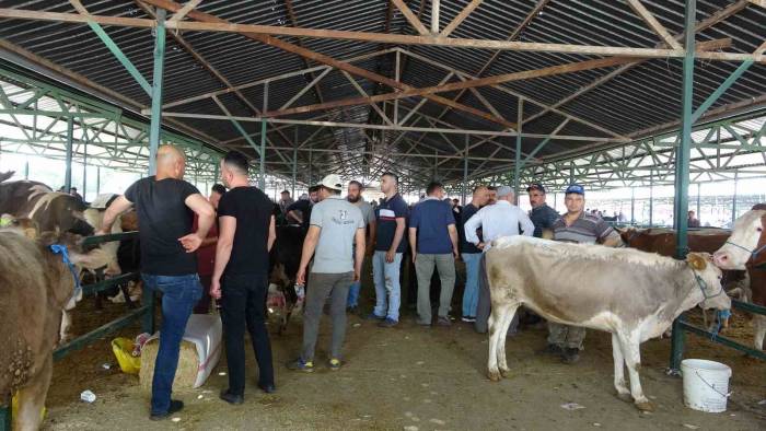 Isparta’da Kurban Bayramı’na Saatler Kala Kurbanlık Satışı Devam Etti