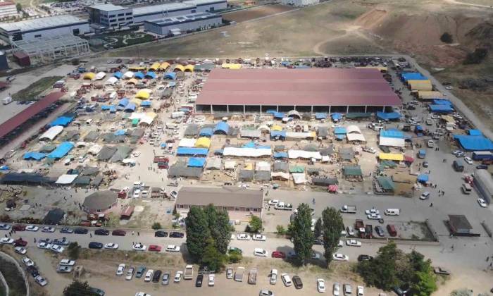 Kurbanlıklar Elde Kalınca Fiyatlar Maliyetine Düşürüldü: "zararına Bile Veremiyoruz"