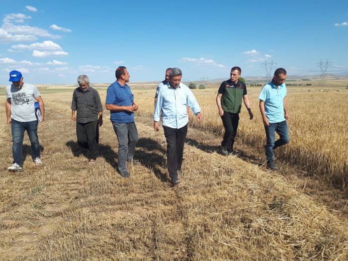 Kırşehir’de İlk Tarımsal Ürün Hasadı Yapıldı