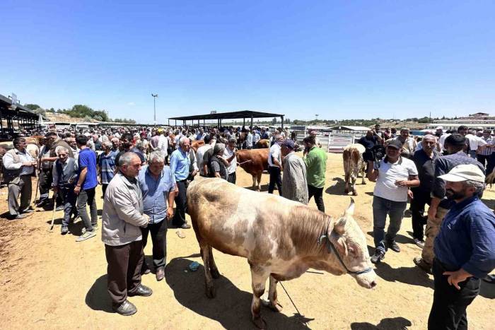 Malatya’da Canlı Hayvan Pazarı’nda Arife Günü Yoğunluğu