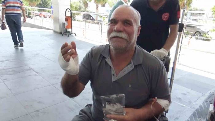 Acemi Kasap Hastanelik Oldu: "dana Kesecektik, Kendimizi Kestik"